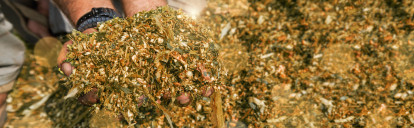 SensoPower_Service_Header_V2